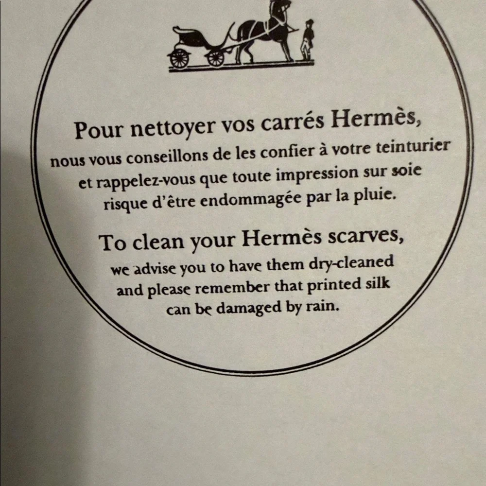 Hermes Green and White Silk Scarf Calèche élastique